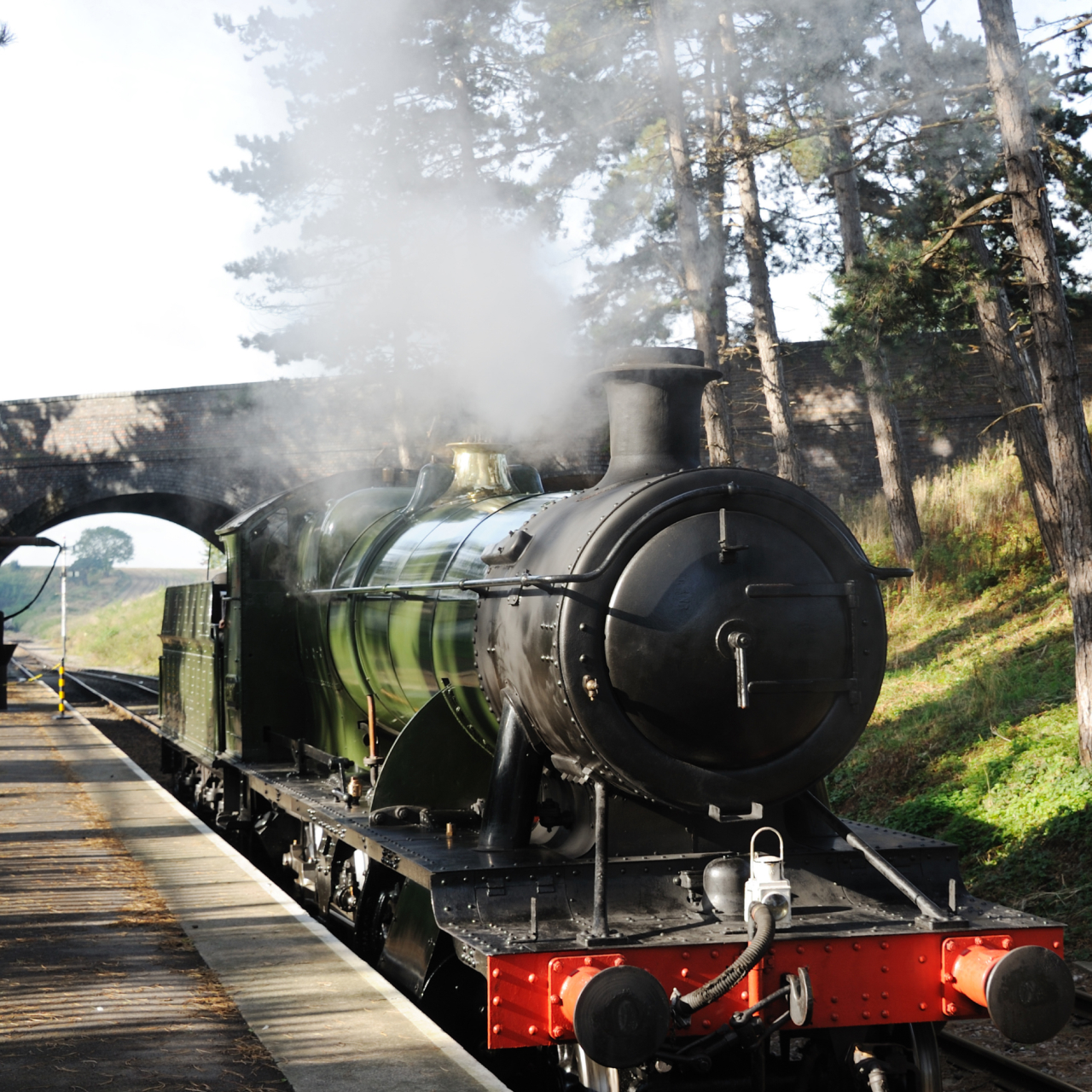 Steam Railway 5050
