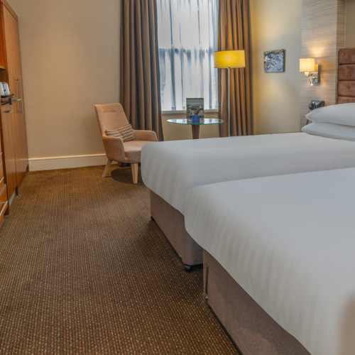 <p>CLASSIC ACCESSIBLE TWIN</p>