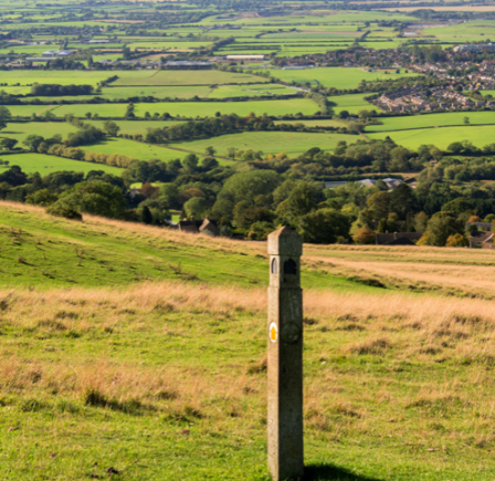 <strong>CLEEVE HILL COMMON </strong>