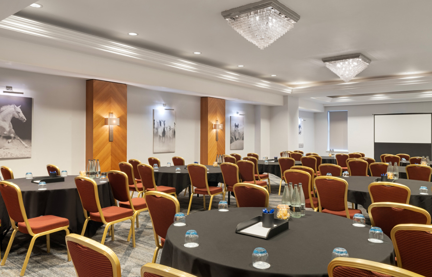 Carousel Desktop Buckholt Carousel 6