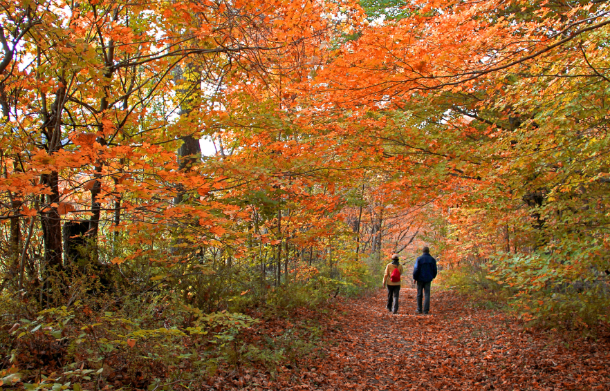 MAIN THINGS TO DO Carousel Desktop Carousel Seasonal