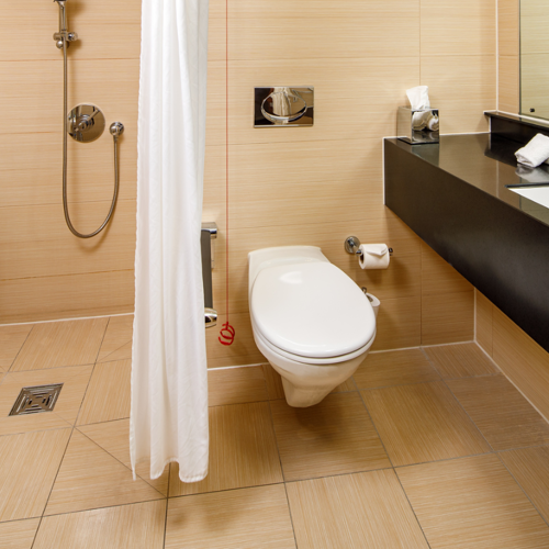 <p>ACCESSIBLE BATHROOM</p>