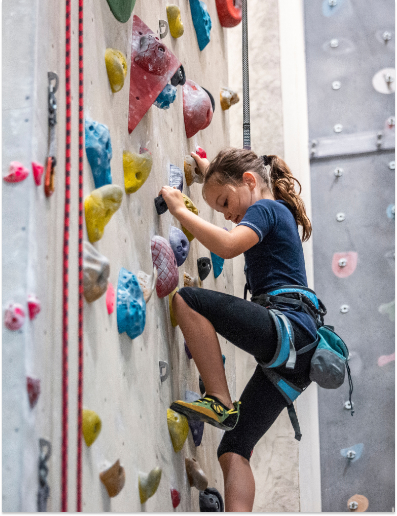 Family Desktop Banner