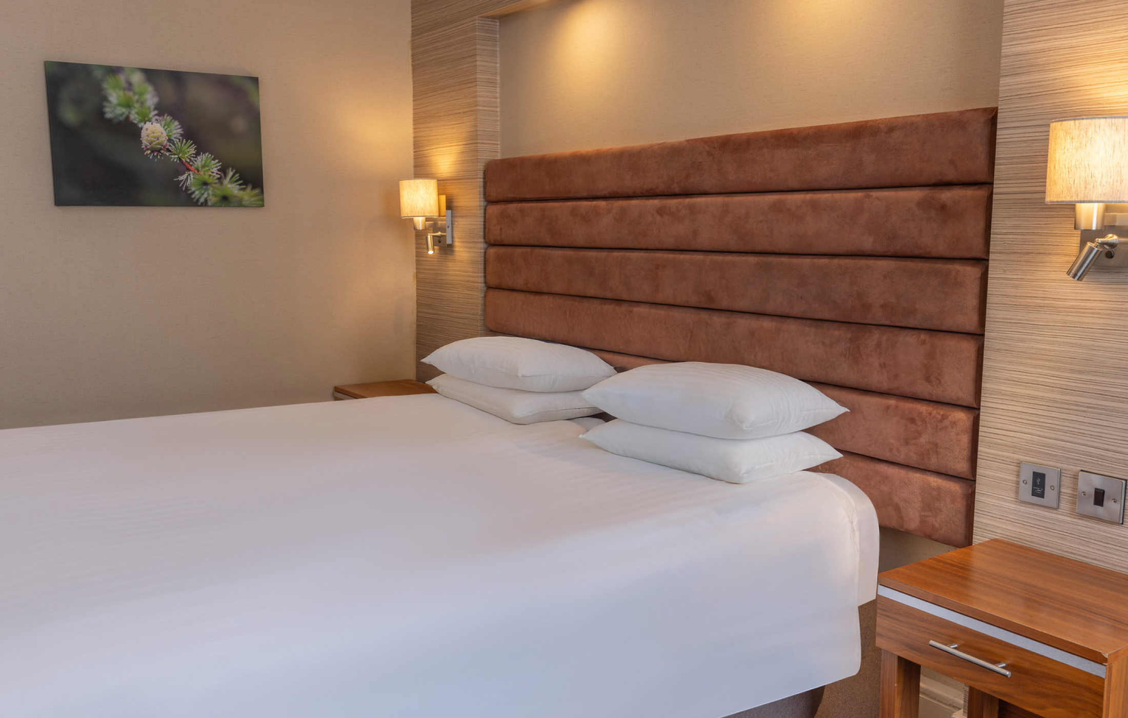 Cheltenham Chase Gallery CLASSIC KING Classic King 1