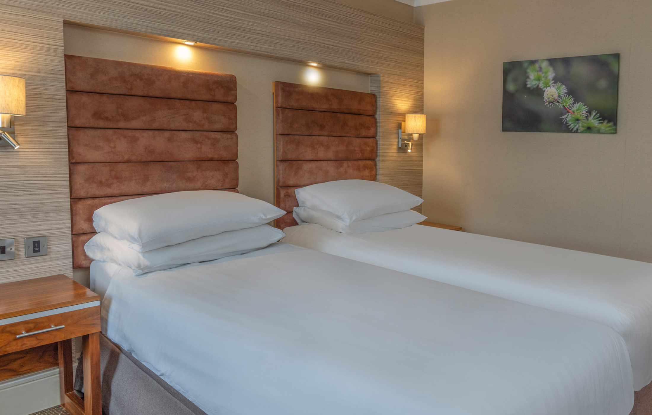 Cheltenham Chase Gallery SUPERIOR TWIN Superior Twin 3