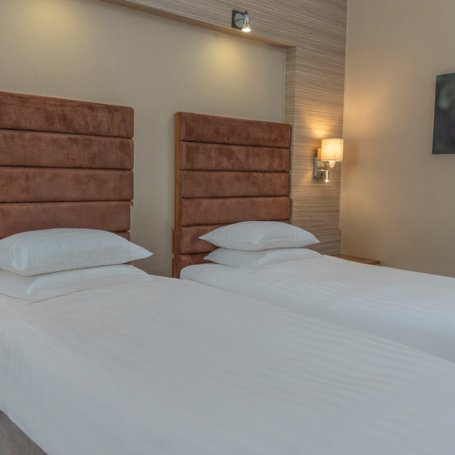 <p>CLASSIC ACCESSIBLE TWIN</p>