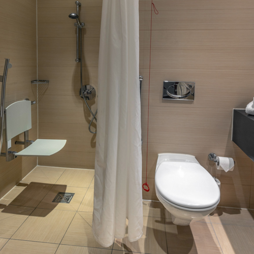 <p>CLASSIC ACCESSIBLE TWIN BATHROOM</p>