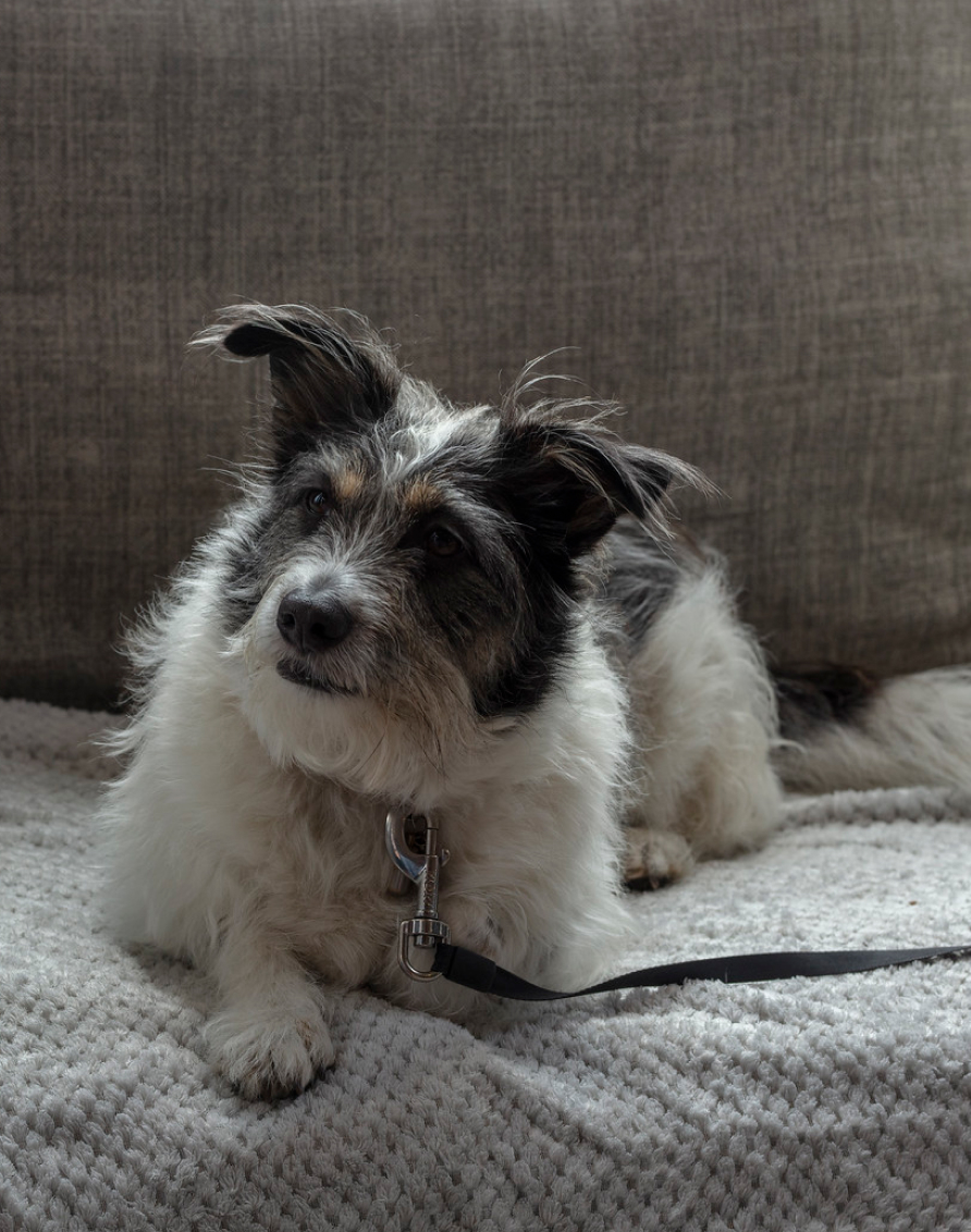 Crosssell Desktop Primary CTA 1 (Policy)