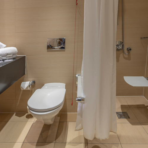 <p>CLASSIC ACCESSIBLE KING BATHROOM</p>