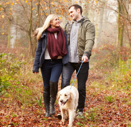 <strong>WALKS IN CHELTENHAM</strong>